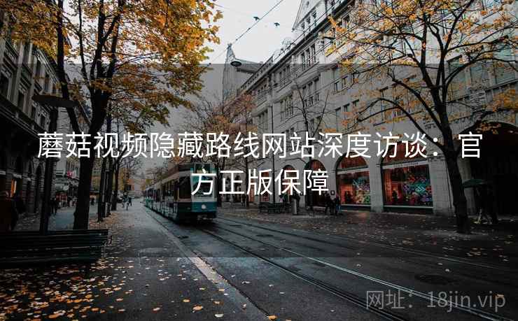 蘑菇视频隐藏路线网站深度访谈：官方正版保障