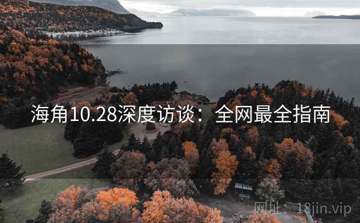 海角10.28深度访谈:全网最全指南